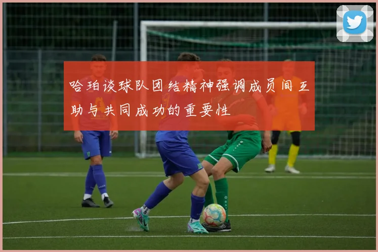 哈珀谈球队团结精神强调成员间互助与共同成功的重要性
